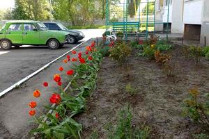 квартира по адресу Цвіткова, 2