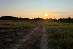 участок по адресу с. Дружня, Николая Петровского ул.