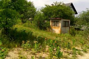 участок по адресу с. Халепье, Лісова, 5