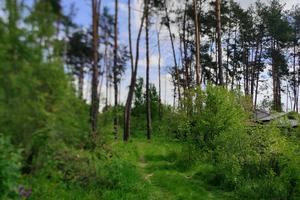 будинок за адресою пекарна