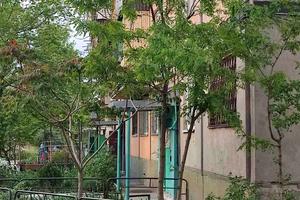 квартира за адресою Осіння вул., 10