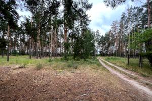 участок по адресу с. Загальцы, Лісова, 38