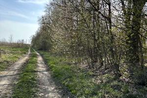 ділянка за адресою с. Бохоники, Гагаріна вул.