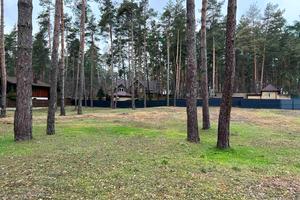 ділянка за адресою Сосновий Бір вул.