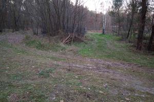 ділянка за адресою Лісова
