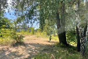 участок по адресу Підлісна