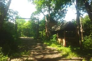 комерційна за адресою Шевченка вул., 43а