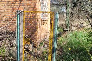 будинок за адресою Берегова вул., 5