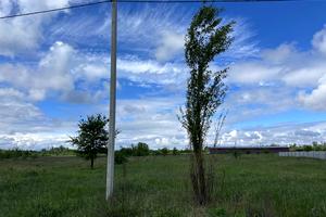 участок по адресу Тополиная ул., 55