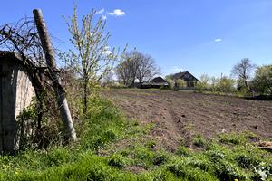 ділянка за адресою с. Рокитне, Емінеску, 5