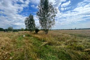 ділянка за адресою с. Козинці, 