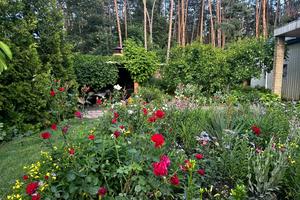 будинок за адресою с. Коломацьке, Садова