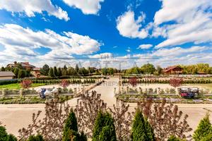 будинок за адресою с. Вишеньки, квітуча