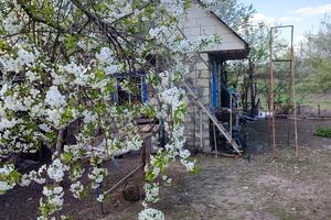 будинок за адресою Провулок Військовий, 16