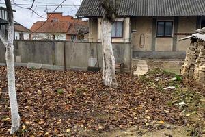 будинок за адресою Франка, 30