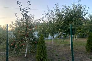 ділянка за адресою Літня вул., 10