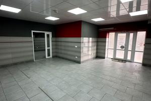 комерційна за адресою Олександра Довженка вул., 33