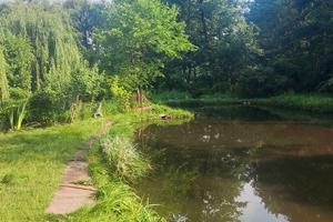 будинок за адресою Миколи Вінграновського вул. (Пушкіна)