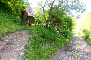 ділянка за адресою Урочище над хатою