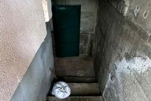 будинок за адресою с. Протопопівка, Середня, 92