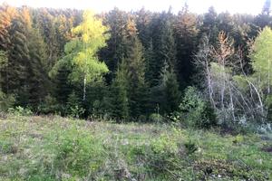 ділянка за адресою Івана Франка
