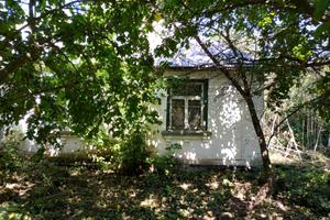 участок по адресу вул.Центральна 31