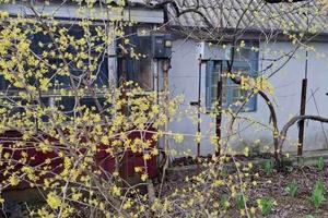 дом по адресу п. Светлое, вулиця Хвойна