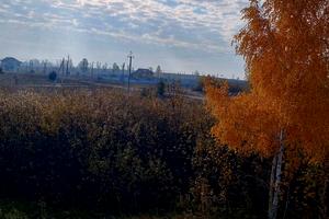 ділянка за адресою Козацька, 25