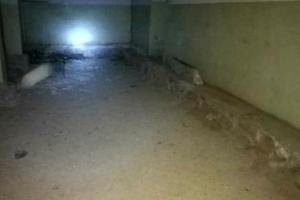 коммерческая по адресу Павла Загребельного ул. (Миколи Раєвського), 24