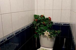 квартира по адресу Молодежная, 12