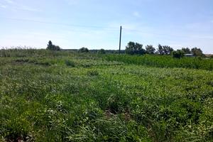 ділянка за адресою Гамаліївка