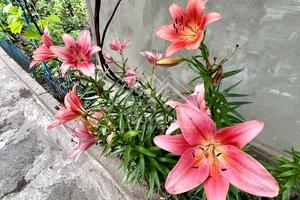 будинок за адресою Краківська вул., 1