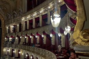 комерційна за адресою Велика Арнаутська вул., 61