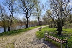 участок по адресу Ізумруд садове товариство, 407