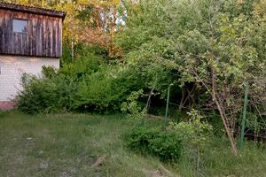 дом по адресу Миру, 164а