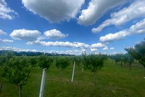 ділянка за адресою 