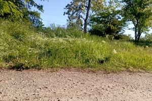 ділянка за адресою зеленая