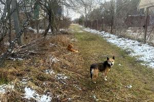 участок по адресу с. Загальцы, 