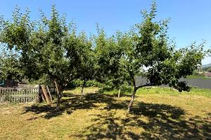 будинок за адресою Українська, 12