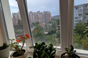 квартира за адресою Юліана Целевича вул., 10/3
