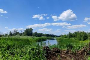 ділянка за адресою Старообухівська вул.