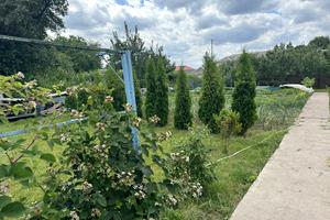 дом по адресу Нова, 7