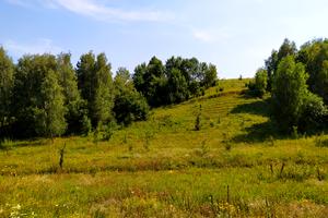 участок по адресу с. Подгорцы, Садовая, 8