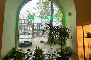 комерційна за адресою Володимира Антоновича вул. (), 115а