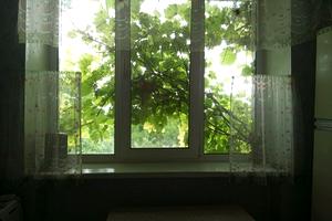 квартира за адресою Центральна, 3