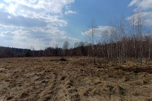 ділянка за адресою Лесі Українки, 59