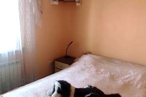 дом по адресу Нахимова пер., 1
