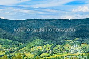будинок за адресою с. Вишка, урочище Красія