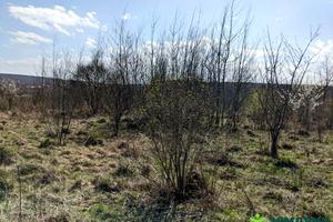ділянка за адресою урочище За глибоким