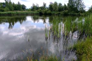 ділянка за адресою с. Старий Яр, 
